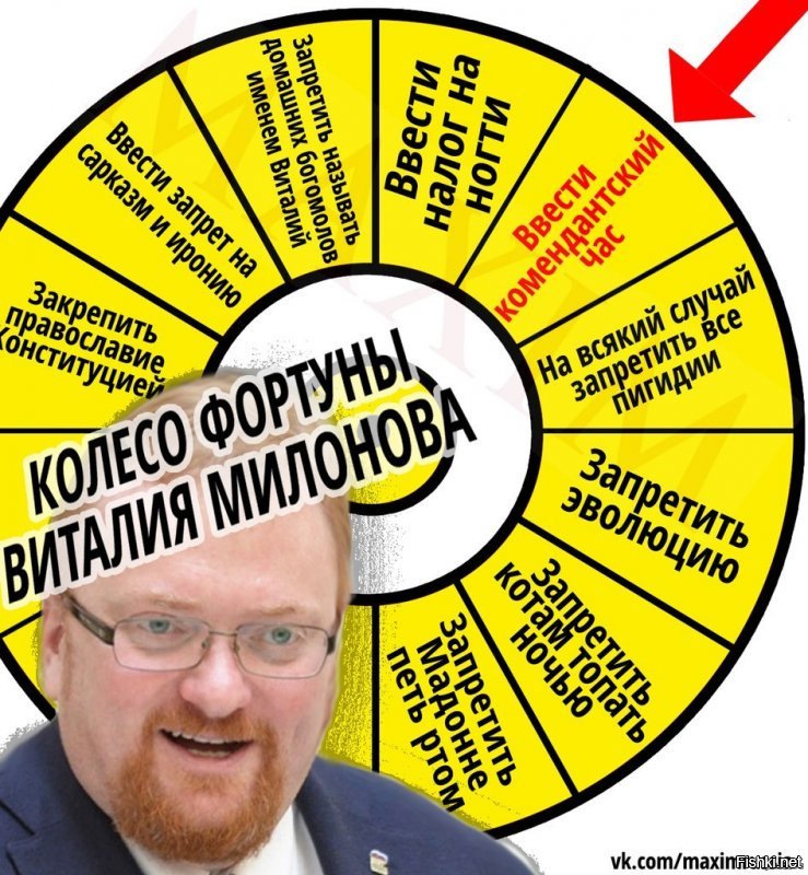 Будни Госдумы: на повестке дня мужская потенция, коты и елки