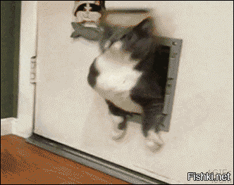 Да мне только спросить...