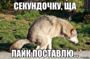 Девушка сказала парню, что он слишком жирный. И вот что было дальше