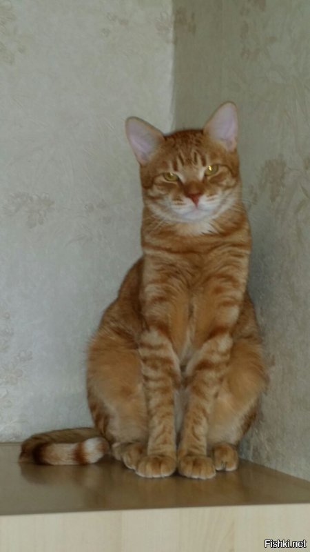 ну допустим ах...