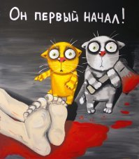 Лучше, чем котики