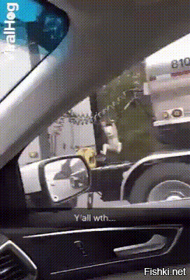 Солянка от 04.12.2018