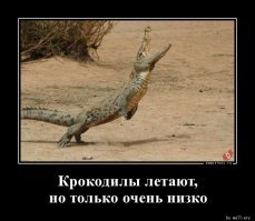 Директор РЕН ТВ стоя аплодирует посту: отсутствие гравитации доказано