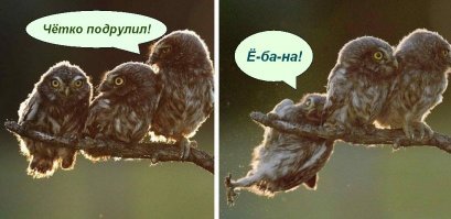20 фотографий, которые доведут до сильного приступа умиления