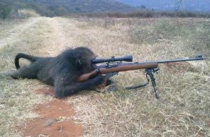 Чуть не подстрелил гостя на арабской свадьбе