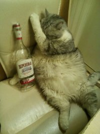 У нашего всё проще...