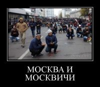 Прикольные и смешные картинки