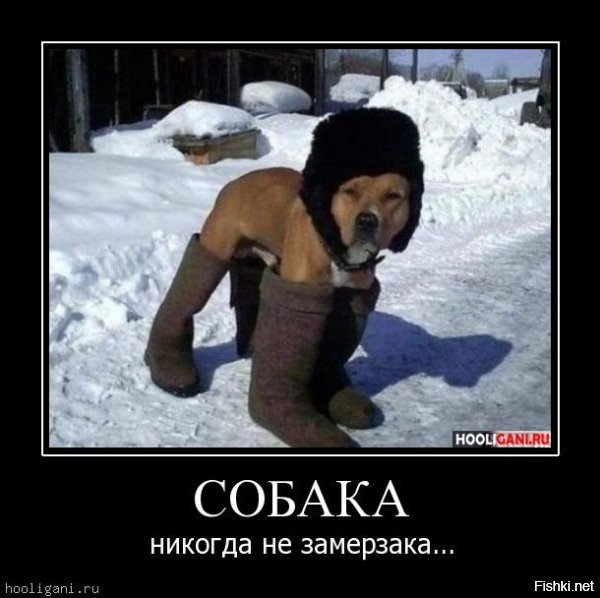 Солянка от 04.12.2018