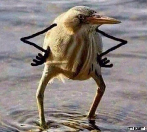 Солянка от 04.12.2018