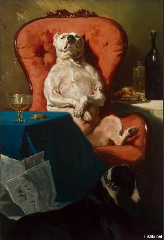 Когда Мосту в солянке пытаются мыть кости
Отличного вечера мужики