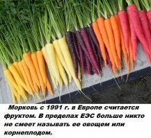 А в разделе овощей в магазинах там она ради протеста?