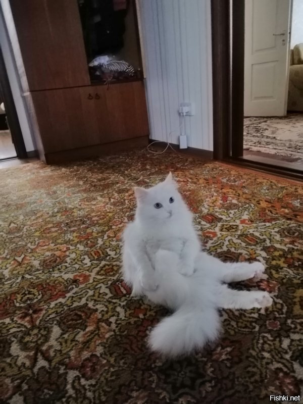 А это моя соблазнялка