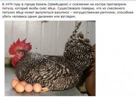 Прикольные и смешные картинки