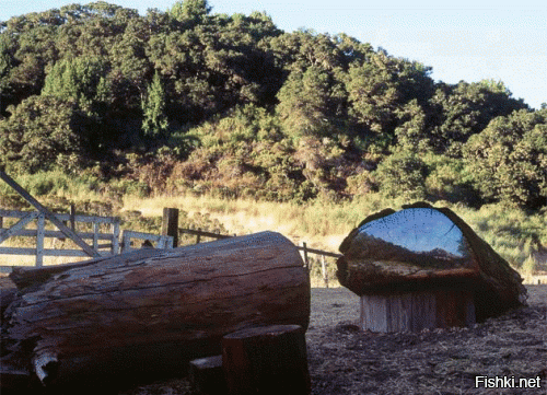 Солянка от 04.12.2018