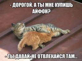 Тайная жизнь домашних животных: скандалы, интриги, расследования