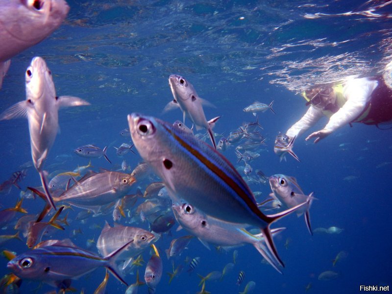 Красиво.. когда за окном -27.. хочется теплаааа...