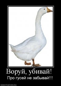 Прикольные и смешные картинки