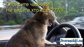 если бы в машине сидел котэ то это  считалось бы что он одну из девяти жизней потратил