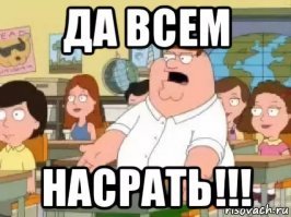 Уровень пофигизма: кот Барсик