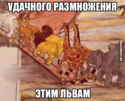 20 гиен почти одолели льва, но к нему на помощь пришел верный друг