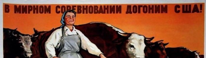 Так быстро догоняли Америку, что скотина вся отстала.
