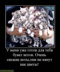 20 фотографий, которые доведут до сильного приступа умиления