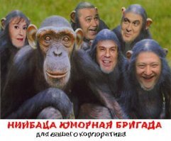 Сколько стоят звёзды в Новый год?