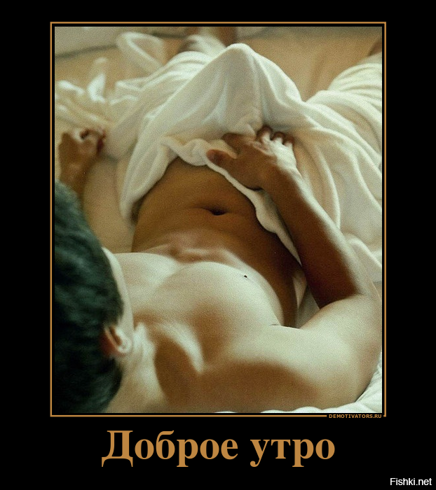 Политика, котики, сиськи, письки