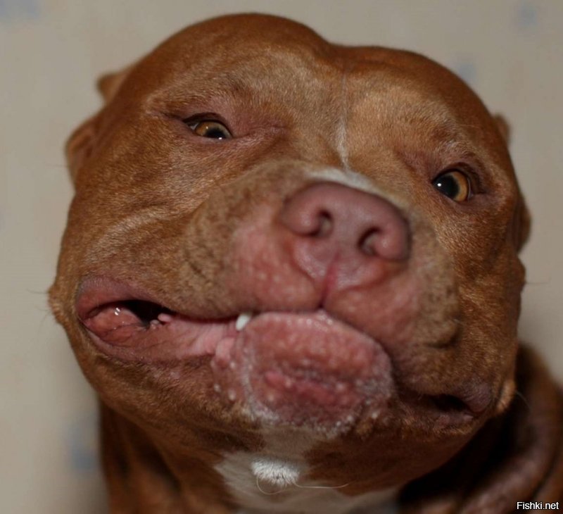 Солянка от 05.12.2018