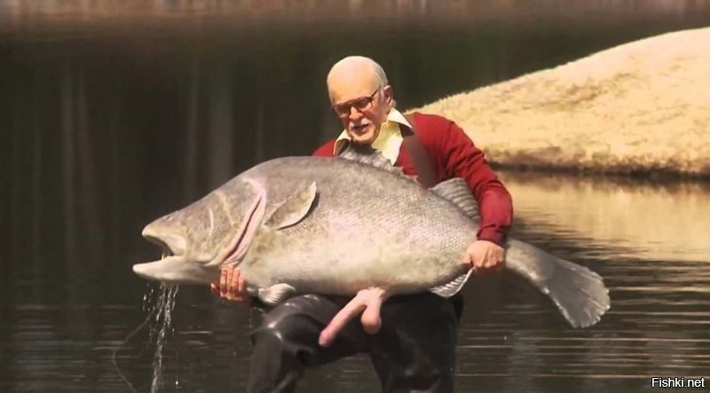 Вдруг щука говорит ему человечьим голосом