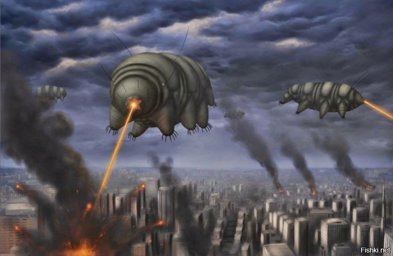 какоето кино такое было....