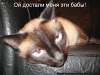 Просто юмор 