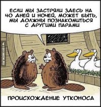 Прикольные и смешные картинки