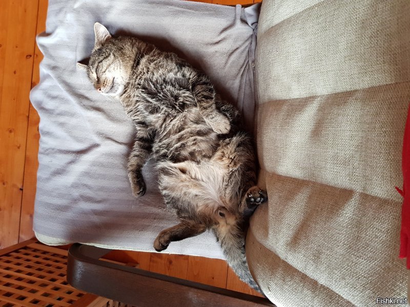 Солянка от 05.12.2018