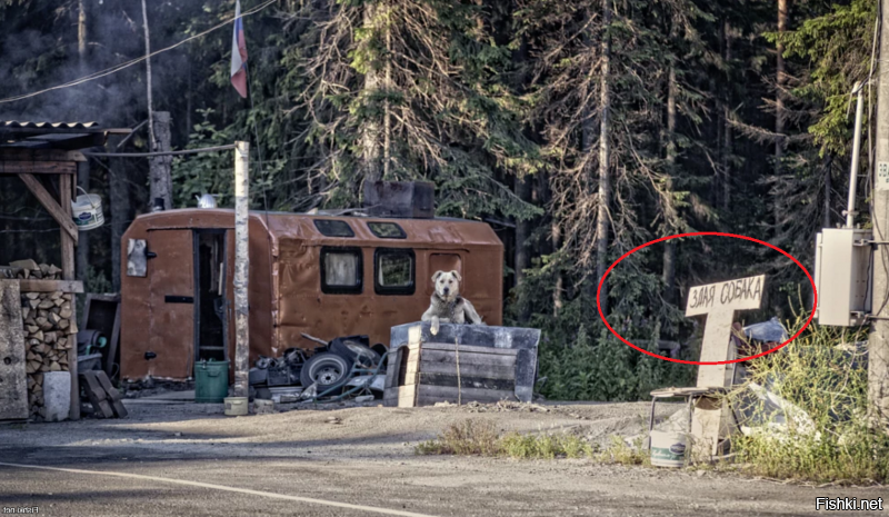 Есть разница?