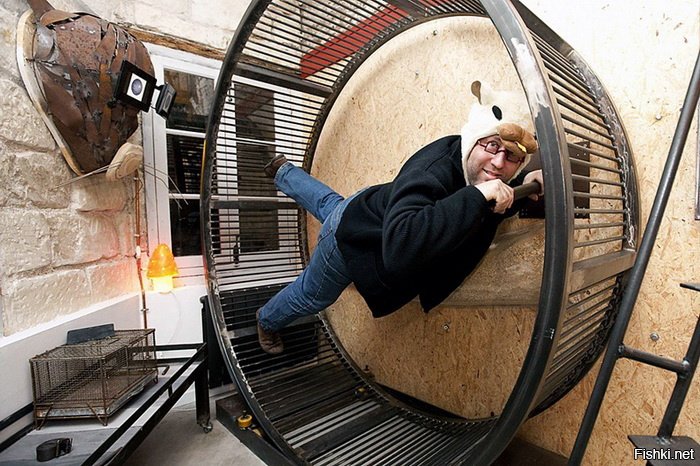 Люди начали усиленно тренироваться, дабы противостоять пушистой угрозе! Чтобы победить хомяка, надо думать как хомяк!