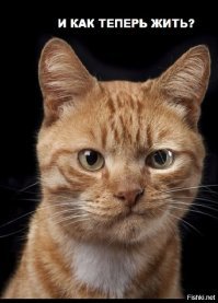 Блоговый сервис Tumblr забанит всю порнографию