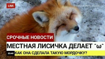 Супер новость...Очень познавательно...