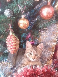 Фотоподборка за 05.12.2018