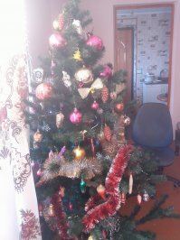 Фотоподборка за 05.12.2018