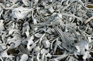 Вот еще диадем сотни две.