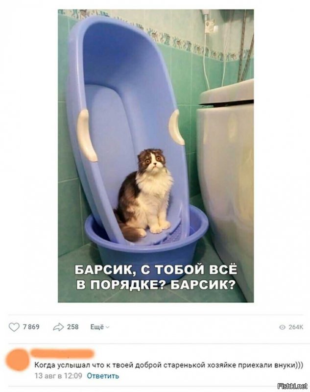 Барсик:
"Только не внуки, только не внуки... Это же настоящие звери!"