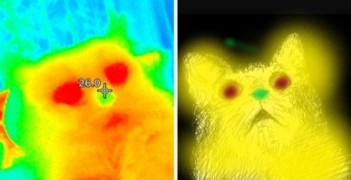 "А кто-то даже углядел в первом коте из поста мем"
дураки что ли совсем?!
это же очевидно какой тут мем