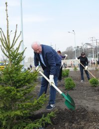Сделать елку своими руками можно только так. Остальное хрень.
