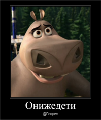 Молодые бегемоты не смогли поделить дорогу со слоном