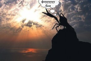 Картинки с надписями для настроения