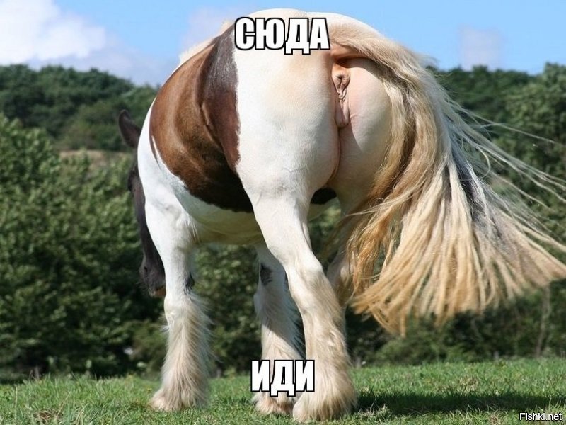 Солянка от 06.12.2018