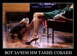 А вот что..