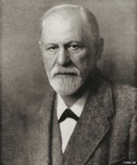 Фотоподборка за 06.12.2018