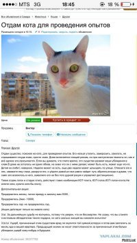 В злые руки